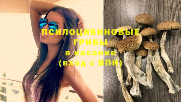 мескалин Лабытнанги